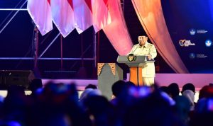 WhatsApp Image 2025-11-29 at 16.31.03