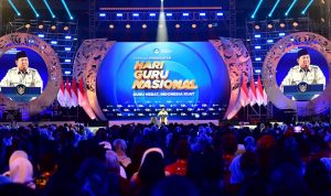 WhatsApp Image 2025-11-29 at 16.31.41