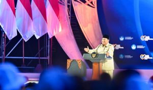 WhatsApp Image 2025-11-29 at 18.09.50