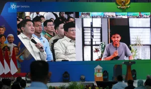 01kcxf80tz6hvcpee4wmdza353